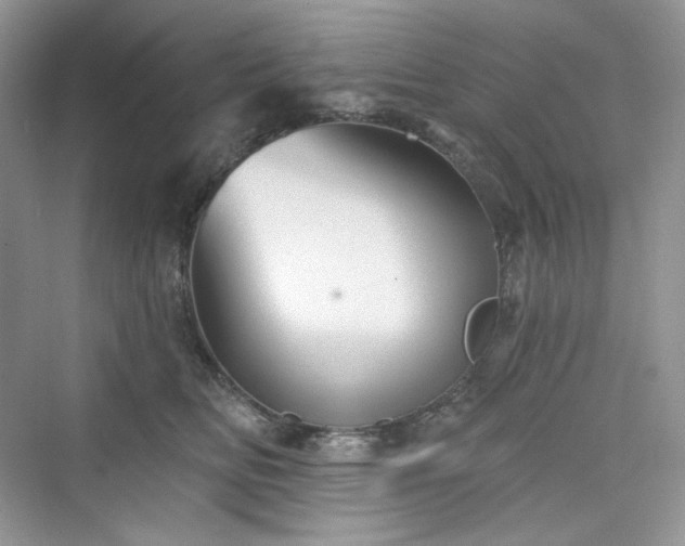 X0000076060518200609291228