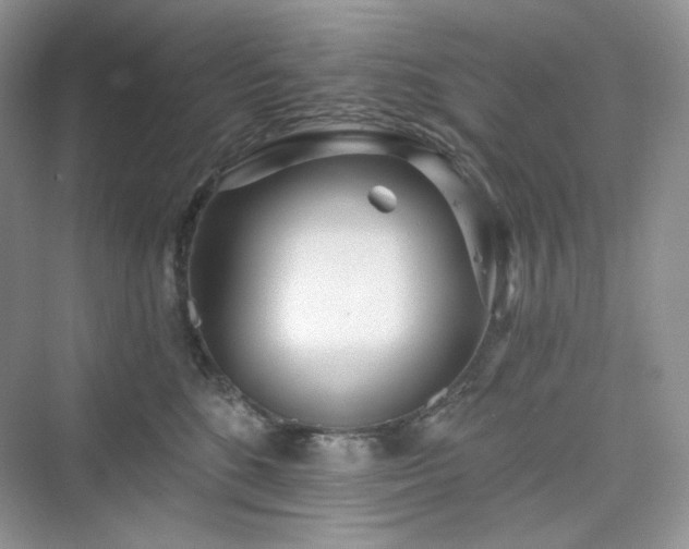 X0000076060520200609291228