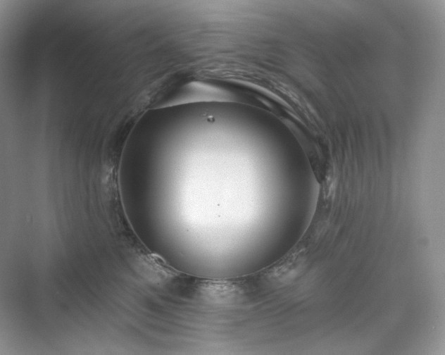 X0000076060521200609291228