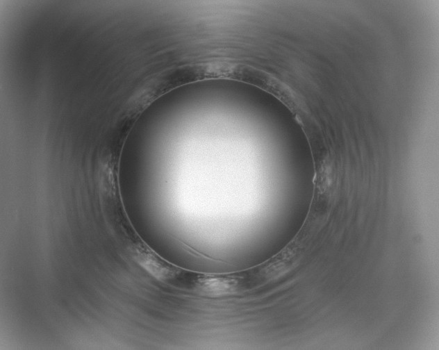 X0000076060522200609291228