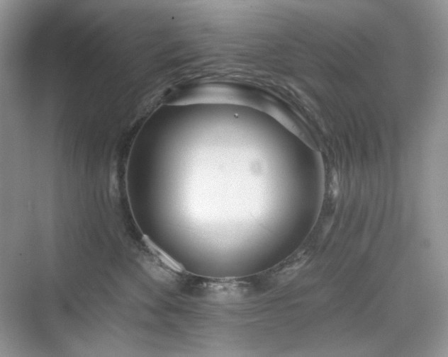 X0000076060524200609291228