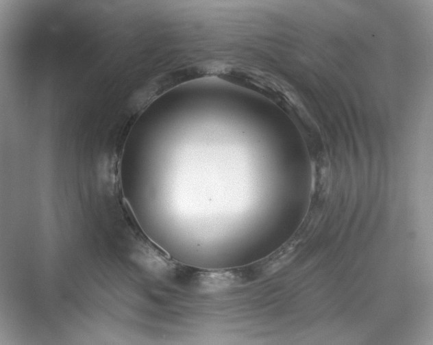 X0000076060525200609291228