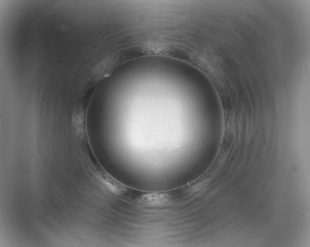 X0000076060526200609291228