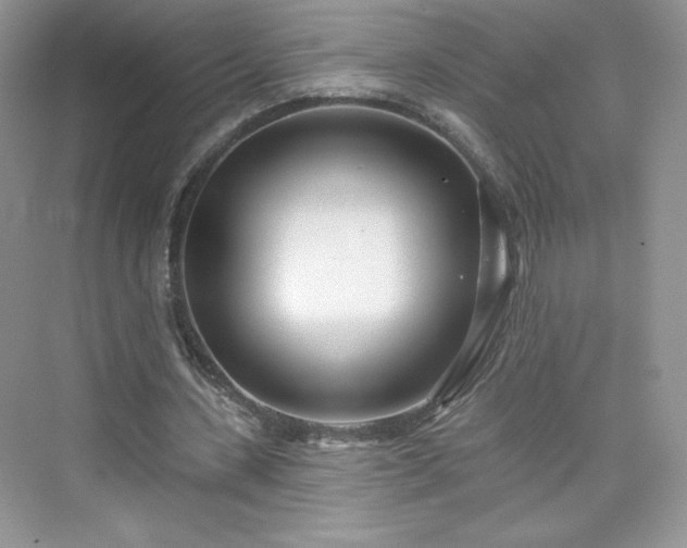 X0000076060531200609291227