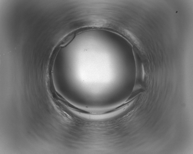 X0000076060532200609291227