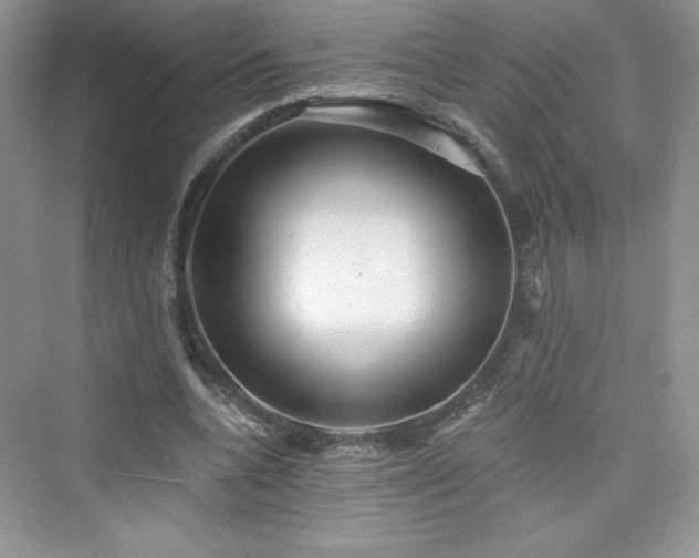 X0000076060536200609291228