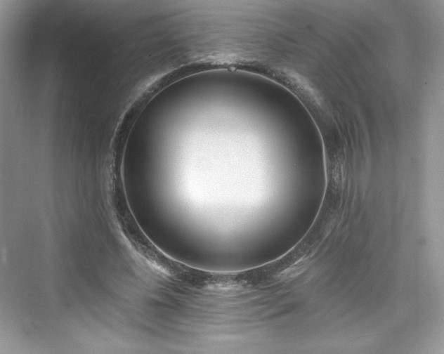 X0000076060540200609291228