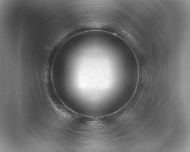 X0000076060544200609291228