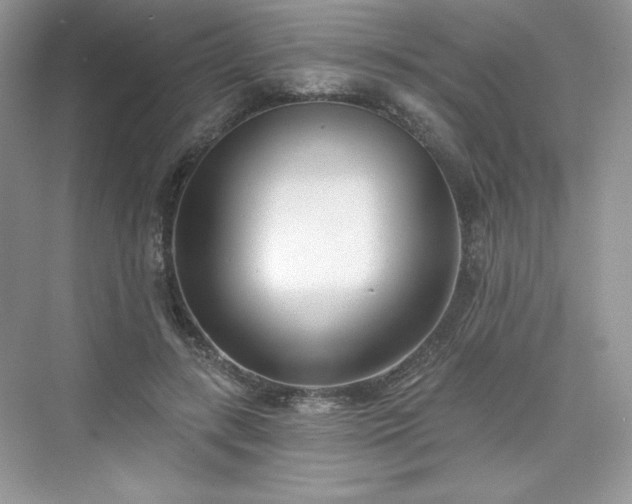 X0000076060547200609291228