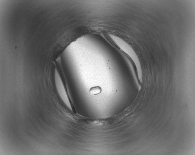 X0000076060566200609291228