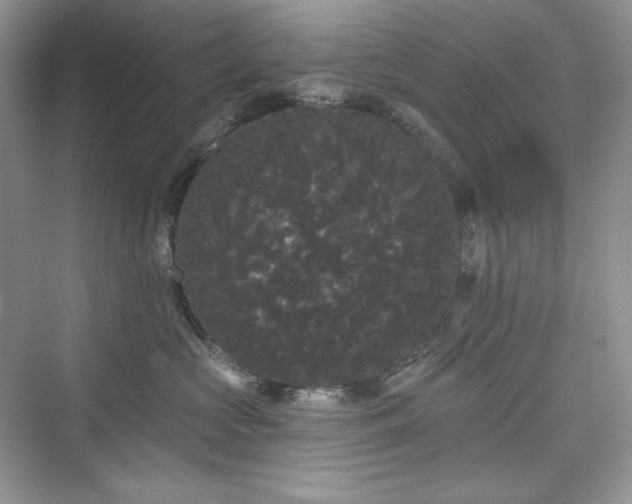 X0000076060573200609291228