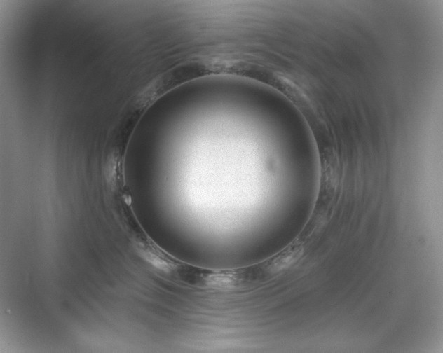 X0000076060574200609291228
