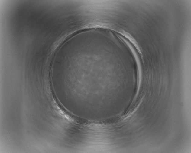 X0000076060577200609291227