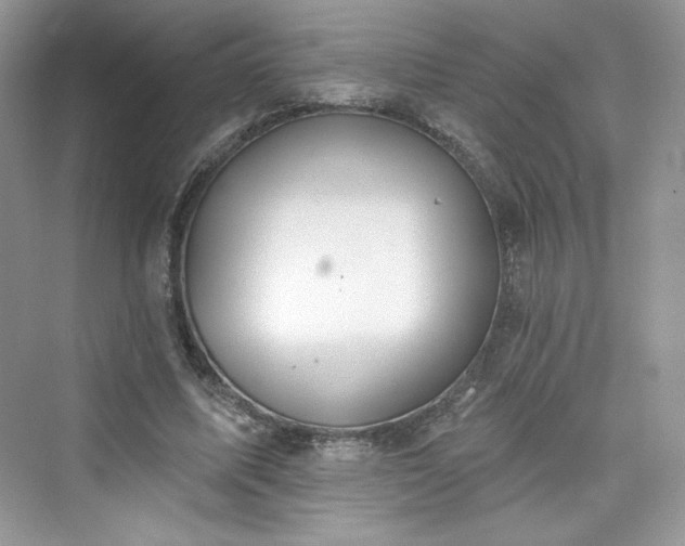 X0000076060587200609291227