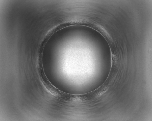 X0000076060588200609291227