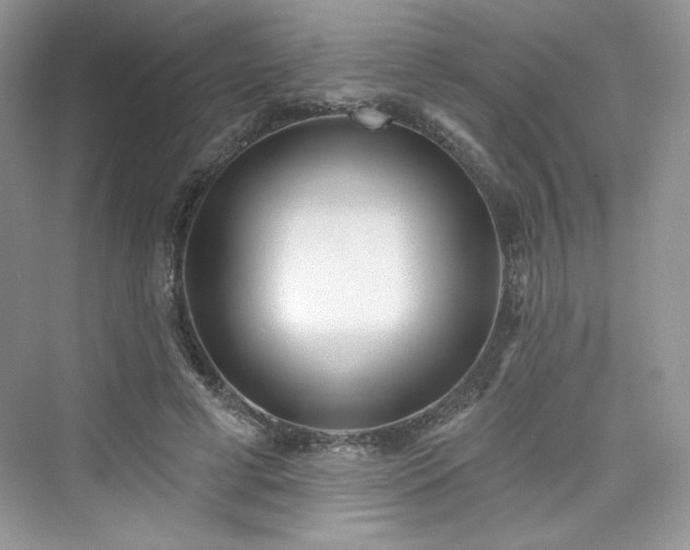 X0000076060593200609291227