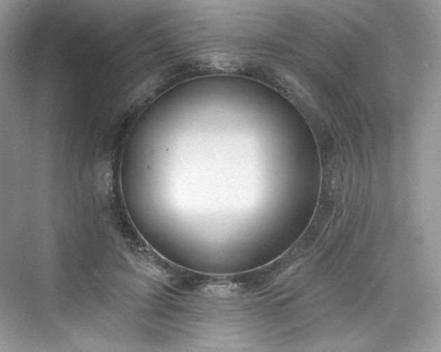 X0000076060595200609291227