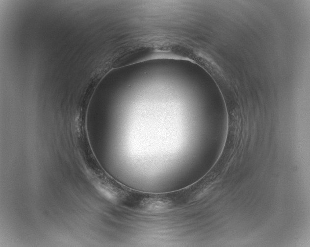 X0000076060597200609291227
