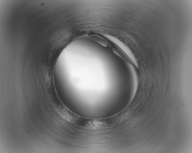 X0000076060607200609291227