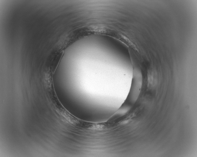 X0000076060609200609291227