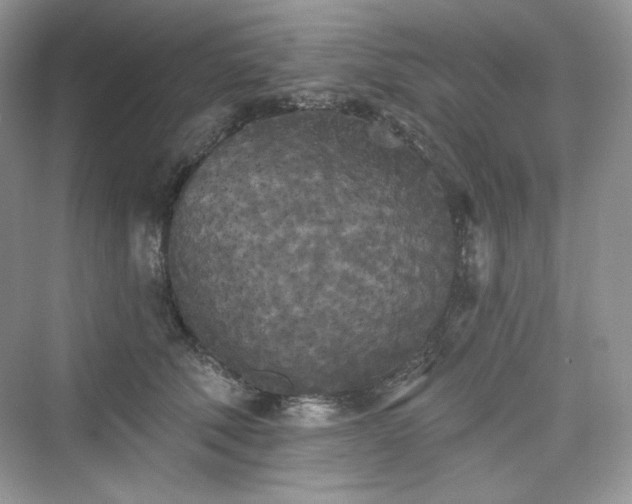 X0000076060610200609291227