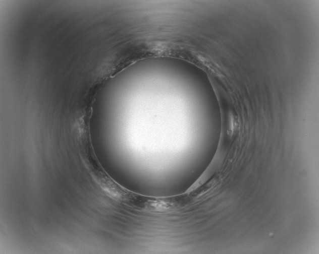 X0000076060611200609291227