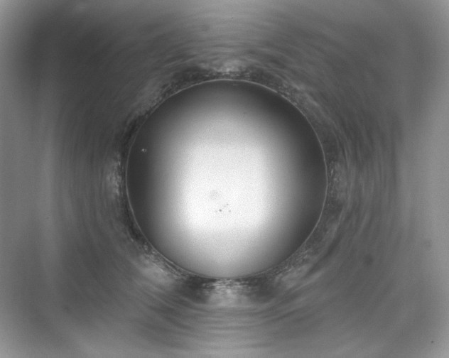 X0000076060612200609291227