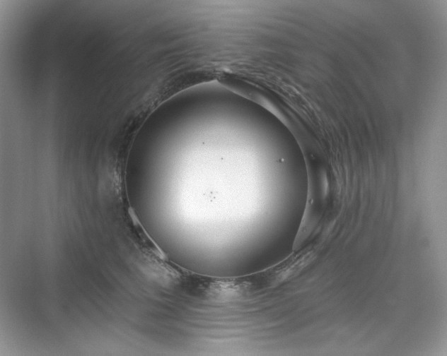 X0000076060613200609291227