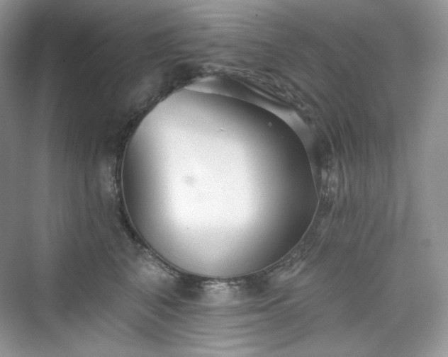 X0000076060616200609291227