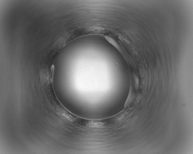 X0000076060617200609291227