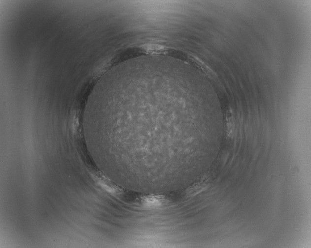 X0000076060618200609291227