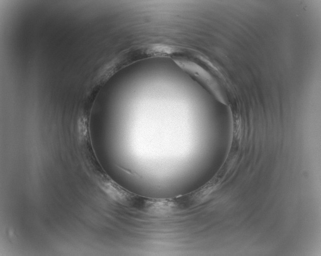 X0000076060621200609291227