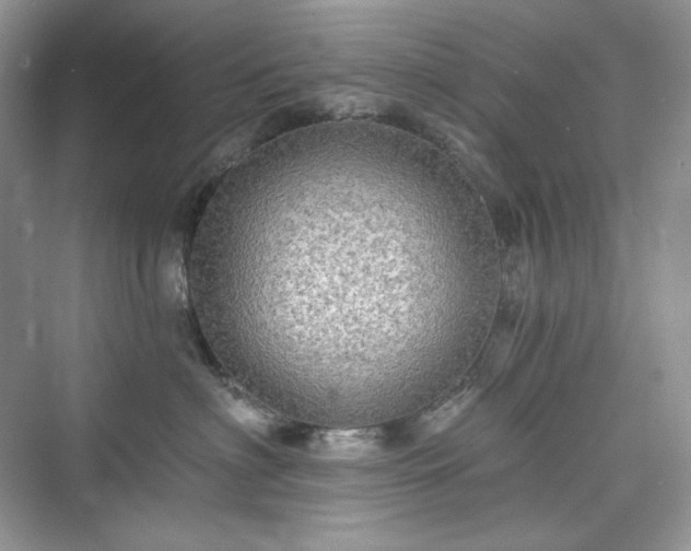 X0000076060622200609291227