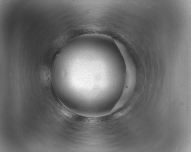 X0000076060624200609291227
