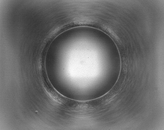 X0000076060631200609291226