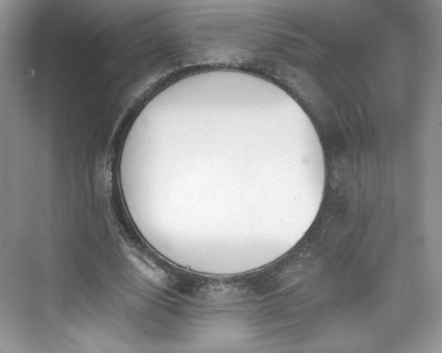 X0000076060632200609291226