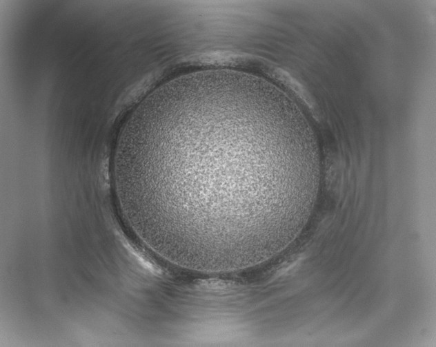 X0000076060633200609291226