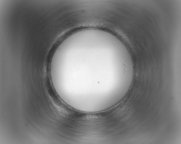 X0000076060636200609291226