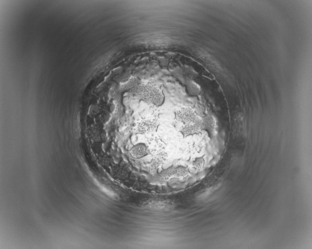X0000076060638200609291226