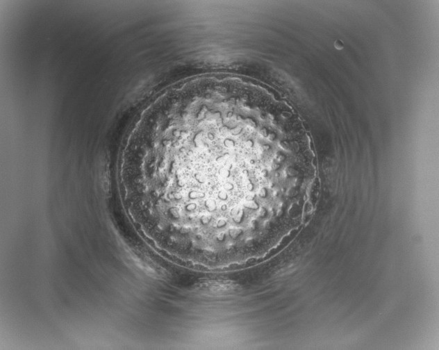 X0000076060642200609291226