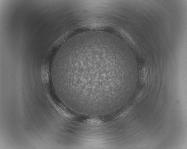 X0000076060644200609291226