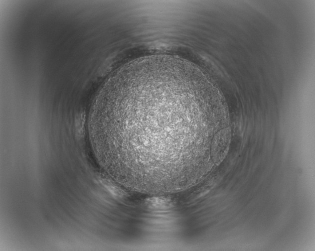 X0000076060660200609291226