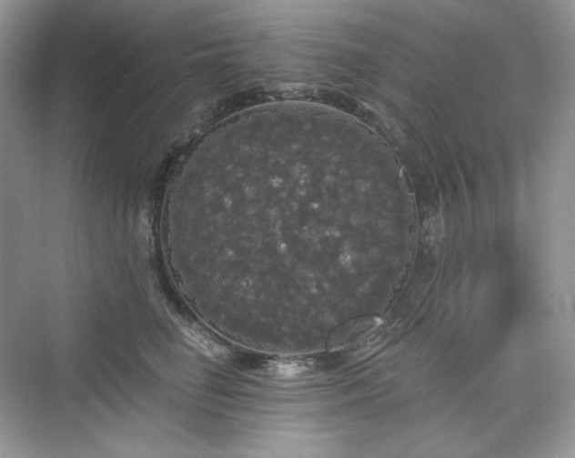 X0000076060662200609291226