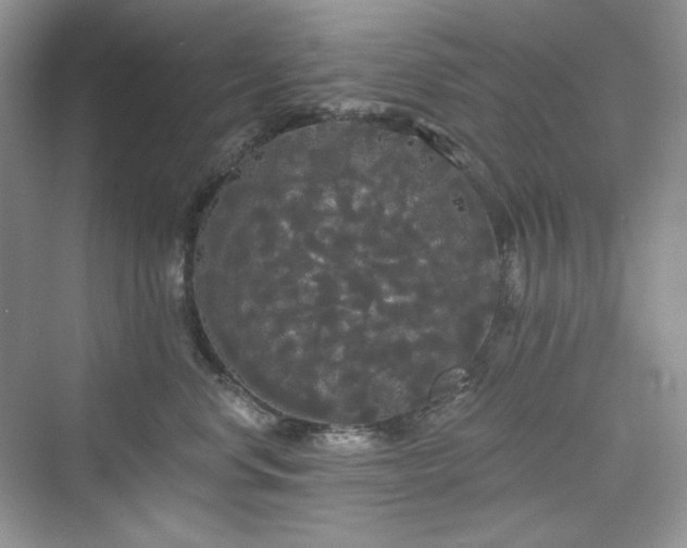 X0000076060668200609291227