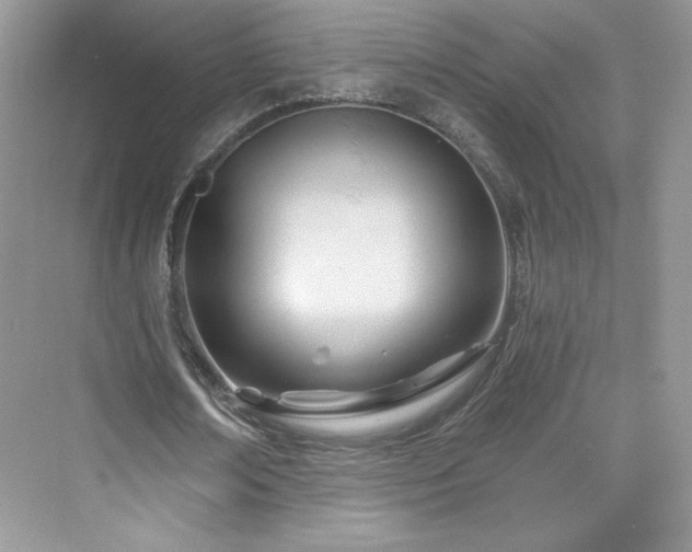 X0000076060674200609291226