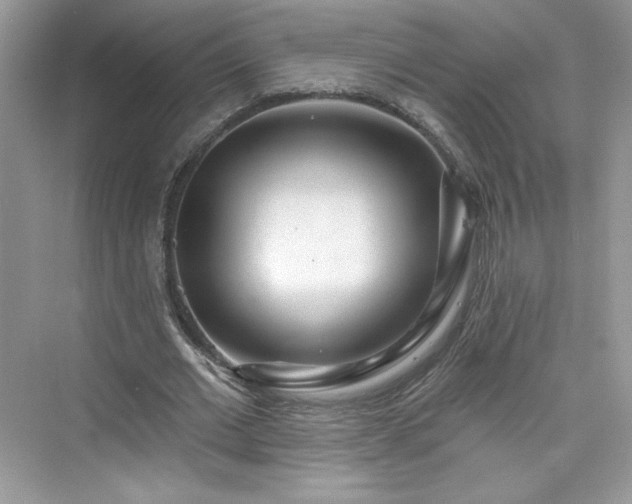 X0000076060677200609291226