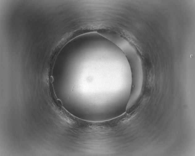 X0000076060681200609291226