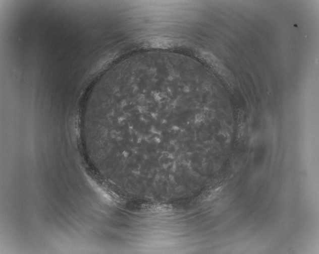 X0000076060683200609291226