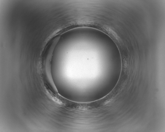 X0000076060684200609291226