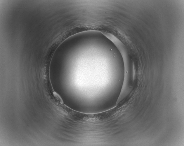 X0000076060689200609291226